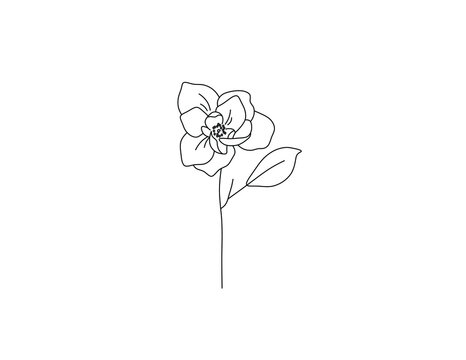 Single flower line drawing Royalty Free Vector Image