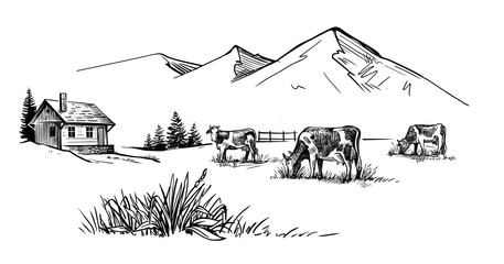 Cows graze in alpine meadows vector sketch.