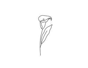 Vector isolated single pretty alcatraz flower blossom colorless black and white contour line drawing - obrazy, fototapety, plakaty