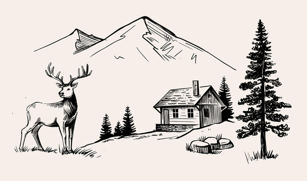 Mountains and house with deer vector. Nature landscape