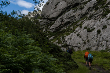 Hikers go uphill with backpacks in a green lush vegetation