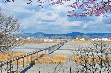 静岡県島田市にある長さ世界一の木造歩道橋蓬莱橋と山桜