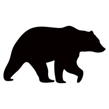 Black silhouette of a bear on a white background.