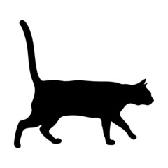 Black silhouette of a cat on a white background.