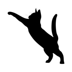 Black silhouette of a cat on a white background.