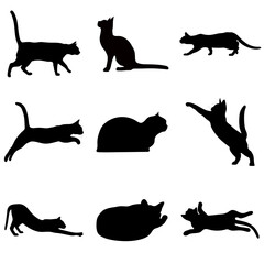 Black silhouettes of cats on a white background.