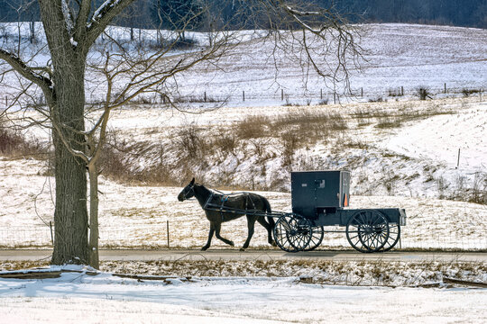 Amish Buggy Designed To Be A Wagon In Winter.