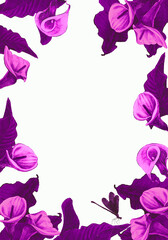 Floral card with calla lily, flower template for invitation or greeting card, botanical poster or cover. 
