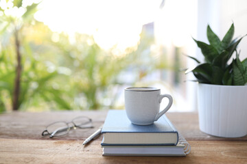 White coffee cup and Hahnii mini snake plant pot and notebook