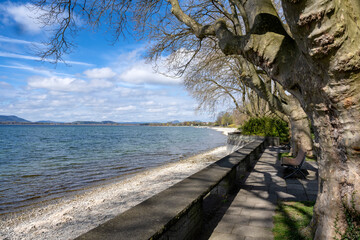 Die Istres-Promenade im Mettnau-Park bei Radolfzell am Bodensee