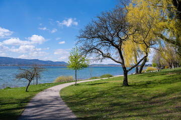 Fußweg am Bodenseeufer auf der Halbinsel Mettnau