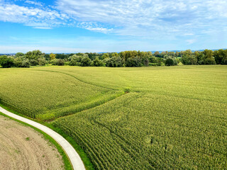 Meandry Odry (Oder) in Chalupki