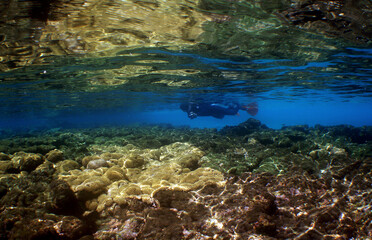 Fototapeta premium diving in a beautiful island in the caribbean sea