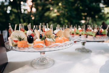 buffet, catering, various canapes and salads in a glass