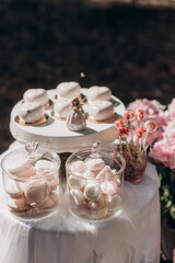 catering with various sweets, marshmallows, meringues in glassware