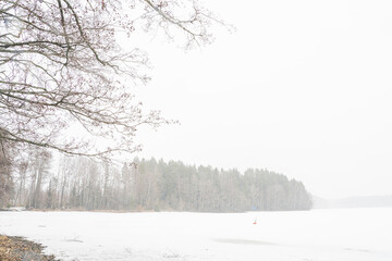 Snowfall . winter landscape over the lake. In the foreground are trees.