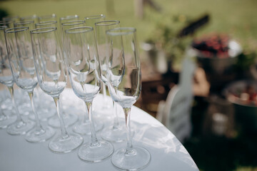 many empty clean glasses for champagne or white wine