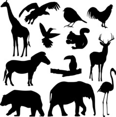 Animal sillhouette