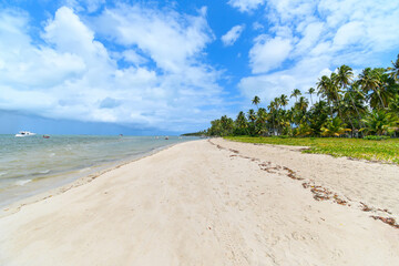 Fototapeta premium Landscape of Praia dos Carneiros beach, a famous beach of Tamandare, PE, Brazil. Beautiful beach, tourist destination of Pernambuco state.