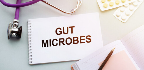 On doctors table is a stethoscope, a black pen and white notepad showing text GUT MICROBES.
