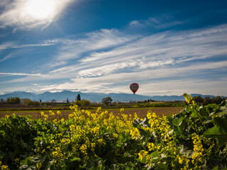 A hot air balloon flying over the fertile plain of Granada. Andalusia, Spain