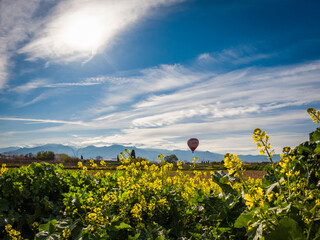 A hot air balloon flying over the fertile plain of Granada. Andalusia, Spain