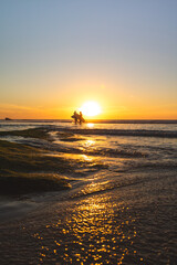 Fototapeta premium Two surfers walking out of the water after the surfing session during golden hour
