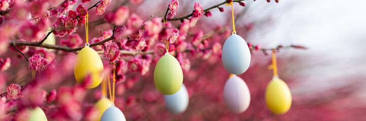 Stylish background with colorful easter eggs hanging on blooming plum tree branches outdoor in park...