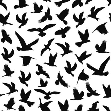 
Bird symbol seamless pattern vector seamless print