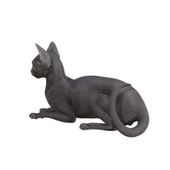 Fototapeta premium Sphynx cat isolated on white background. 3d rendering-illustration.
