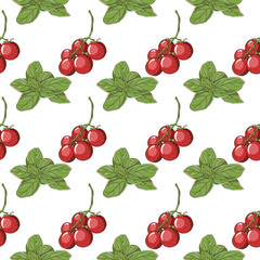 Cherry tomatoes and basil pattern. Vector illustration