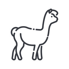 Vector llama line icon isolated on transparent background.