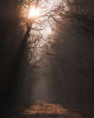 ścieżka © Sporywildlife