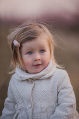 Little toddler girl in white coat stands in field, among blooming peach rose gardens at sunset