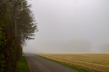 Fototapeta na wymiar Some foggy morning in Germany