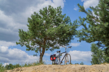 The bike stands on a sandy beach of a forest lake under a separate pine tree against a blue sky.