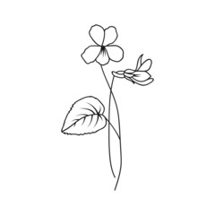 Violet February Birth Month Flower Illustration - 497328396