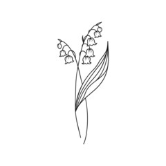 Lily of the Valley May Birth Month Flower Illustration - 497328512