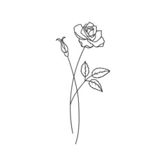 Rose June Birth Month Flower Illustration
