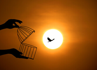 Bird Flying Out of Cage, Freedom Concept, freeing Bird from the cage, bird In cage Set Free,...