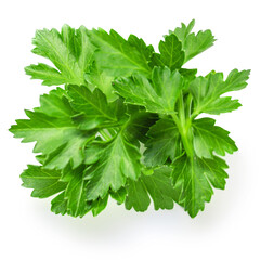 Parsley herb isolated on white background. Parsley leaf top view, flat lay.