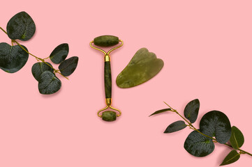 Green jade roller and eucalyptus branch on a pink background.
