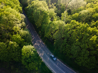 Car on road in the forest in summer time nature from air . View from a drone. Aerial view.