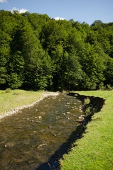 Fototapeta na wymiar View of the river in the mountains.