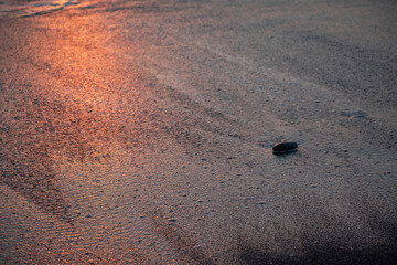 Sea sunset. The Black Sea coast. Tourism and travel. The coastline. Rocks on the shore.