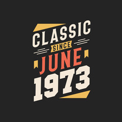 Classic Since June 1973. Born in June 1973 Retro Vintage Birthday