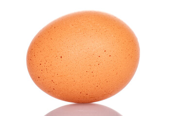 One chicken egg, macro, isolated on a white background.