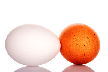 Two chicken eggs, macro, isolated on a white background.