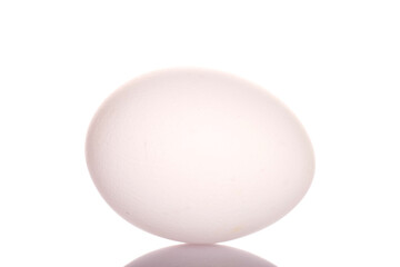 One chicken egg, macro, isolated on a white background.