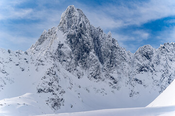 Obraz premium winter landscape in the mountains of the Circumpolar Urals